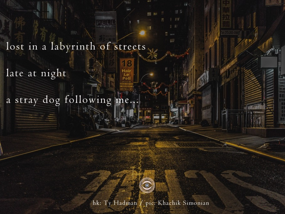 haiku 167 - croped