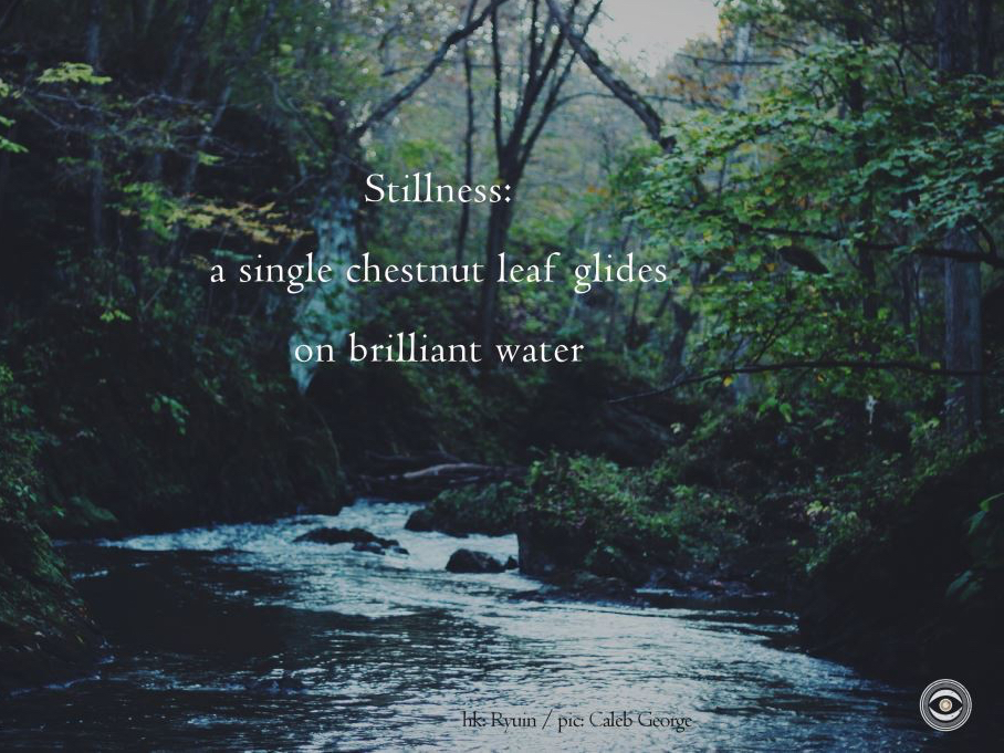 haiku168 - croped