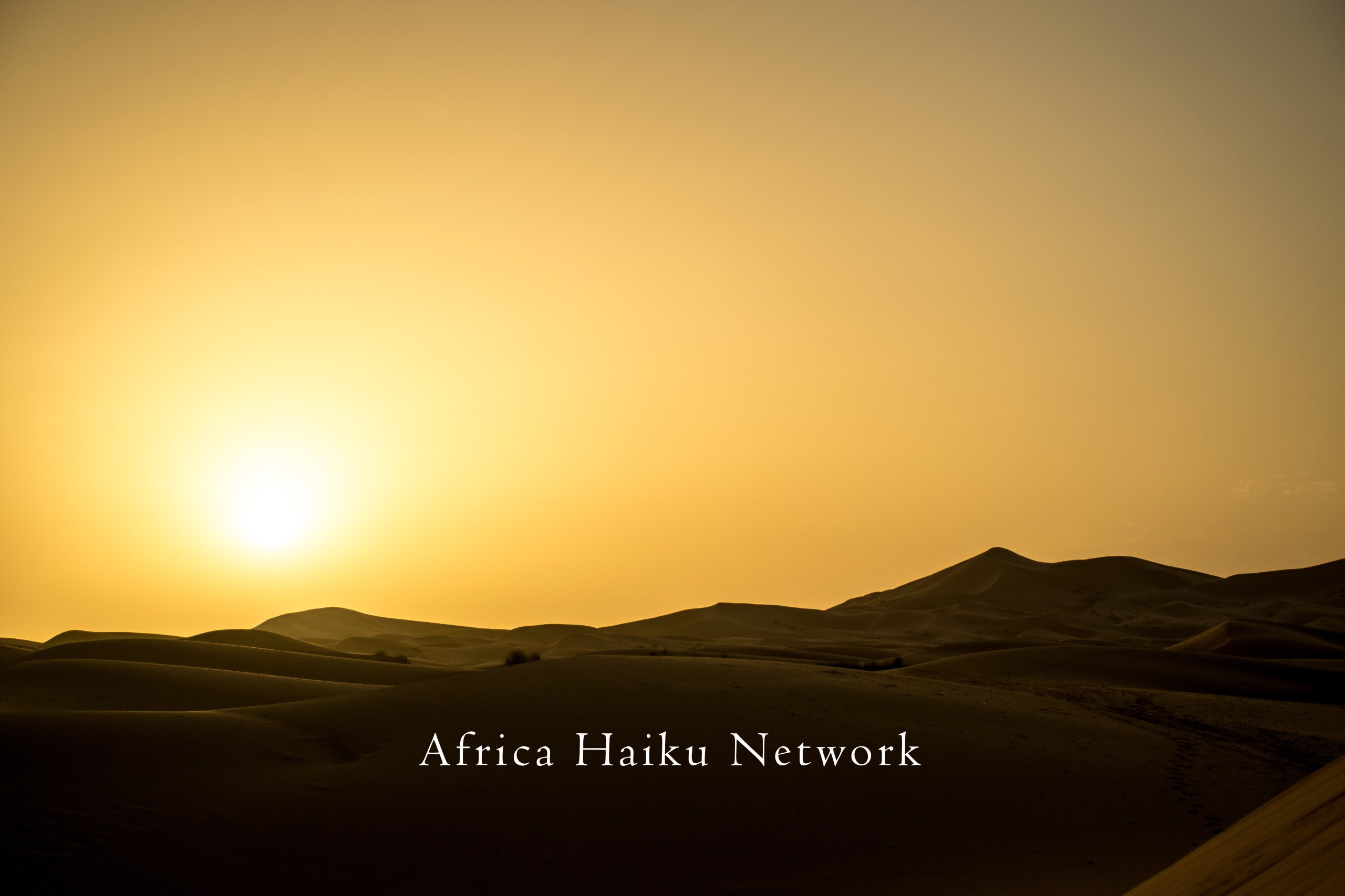 Spotlight-Africa-Haiku-Network-scaled