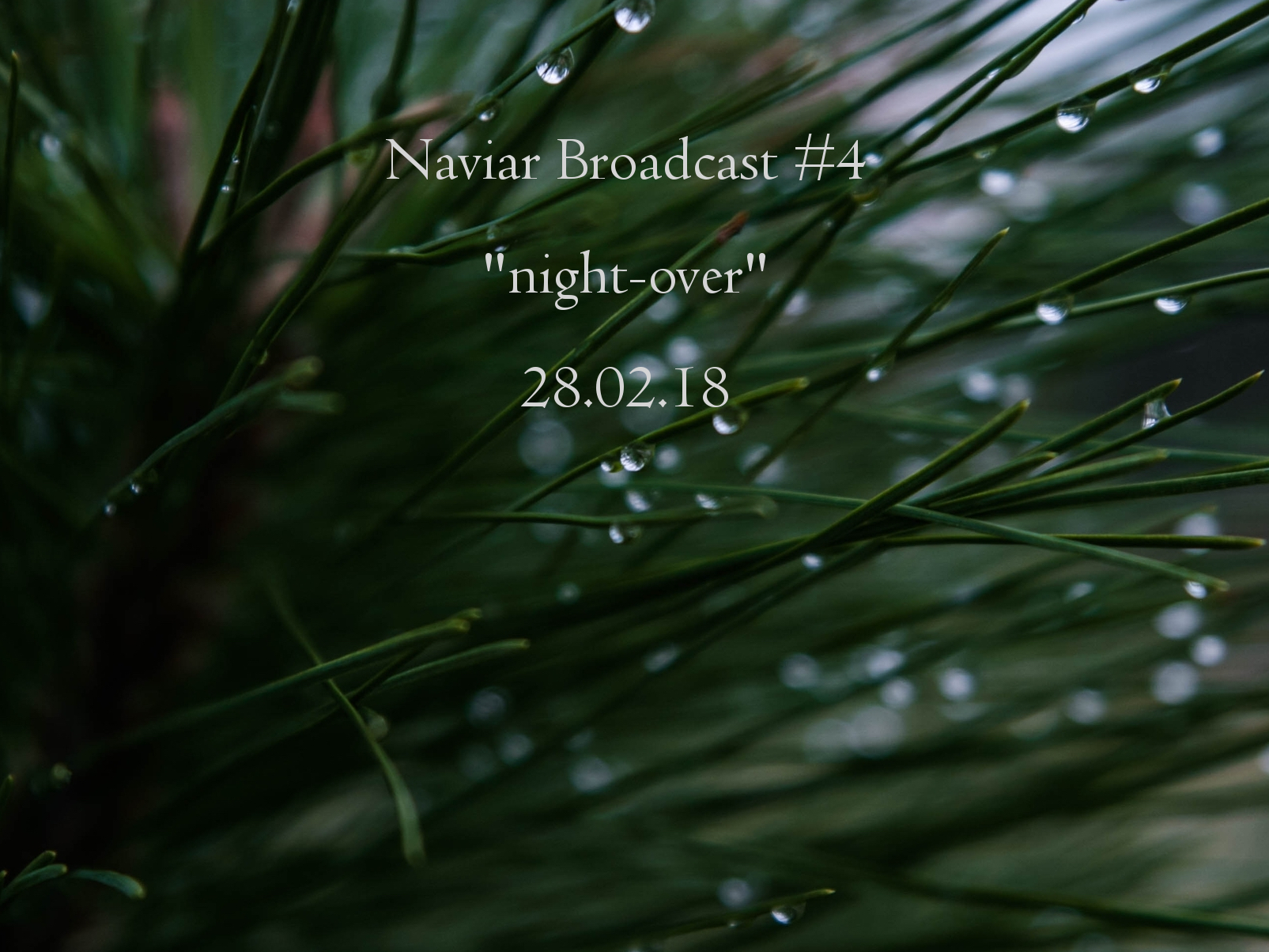 NB4 - croped