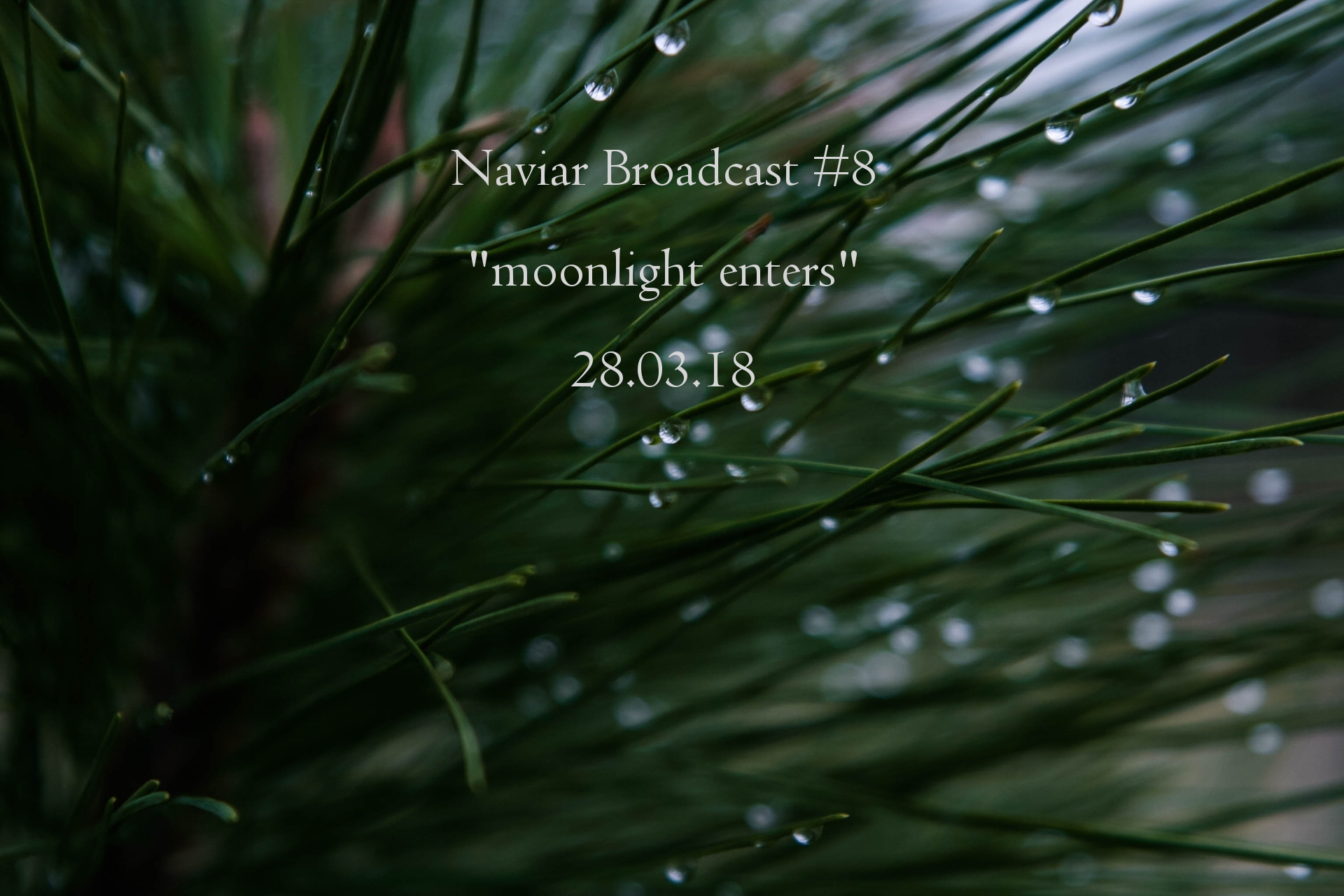 naviar-Broadcast-8-Moonlight-Enters