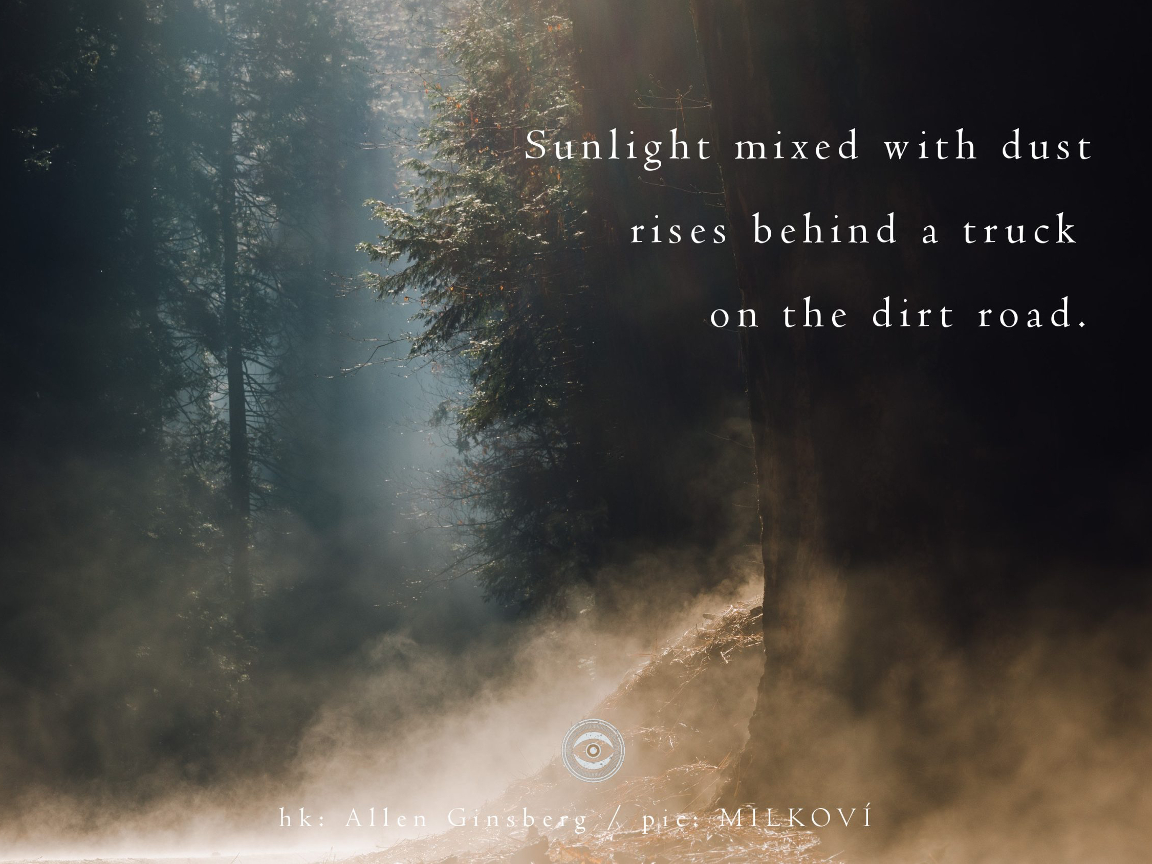 haiku 240 - croped