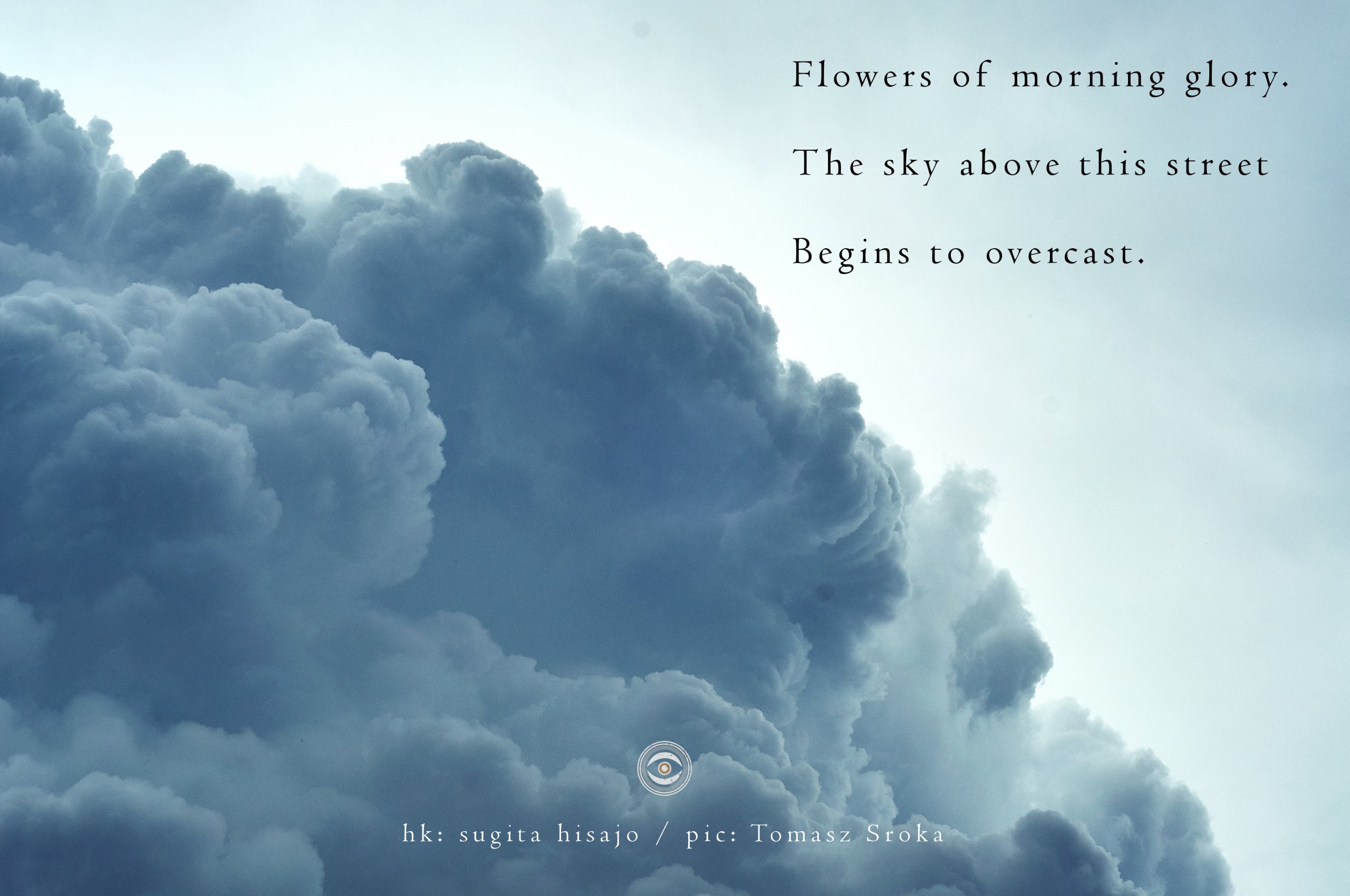 naviarhaiku245-Flowers-of-morning-glory-scaled