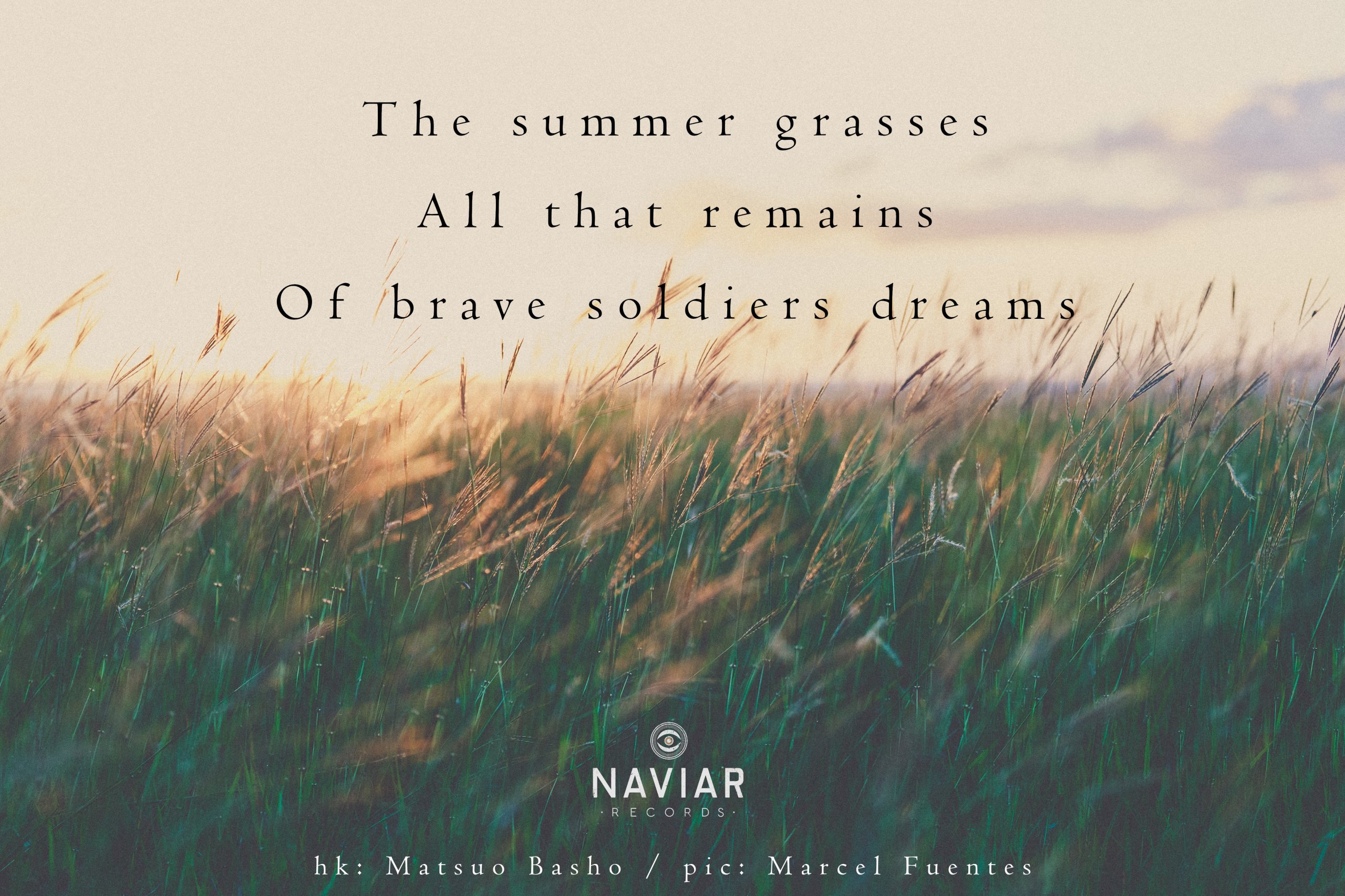 naviarhaiku281-The-summer-grasses-scaled