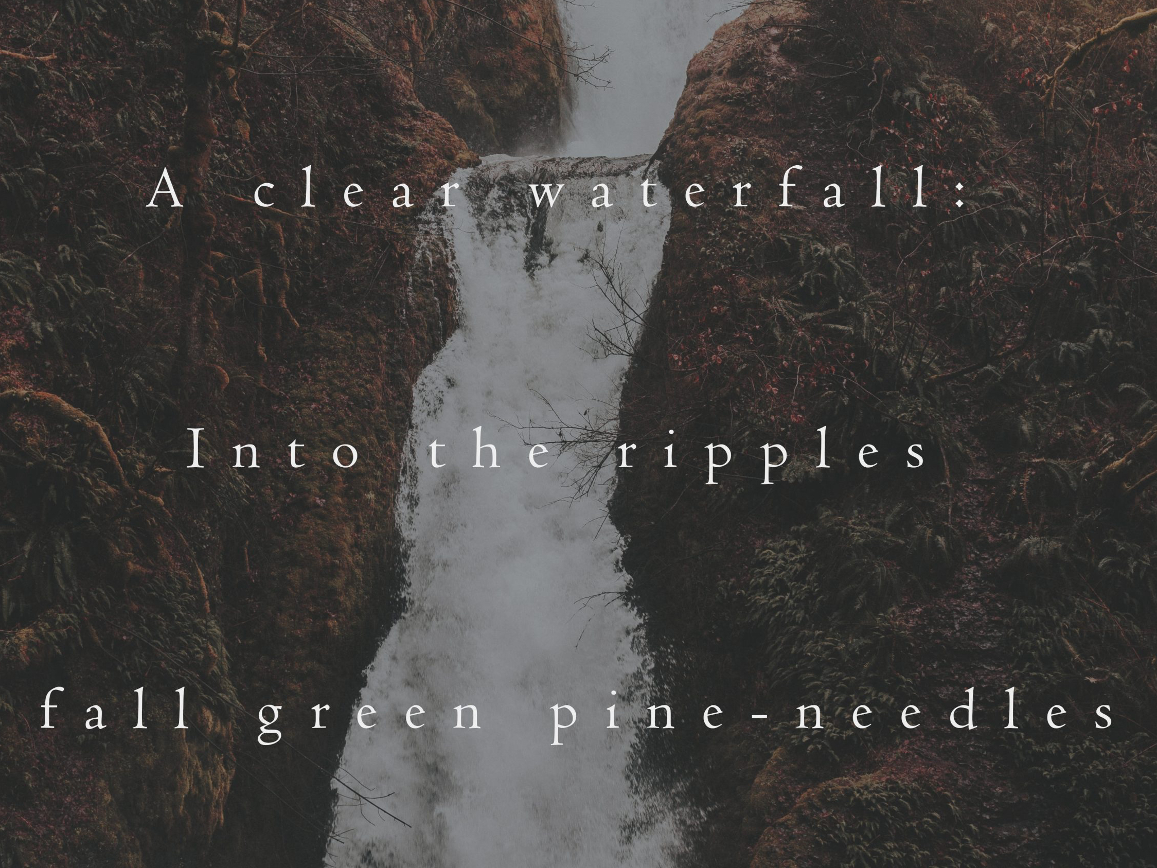 haiku 288 - croped