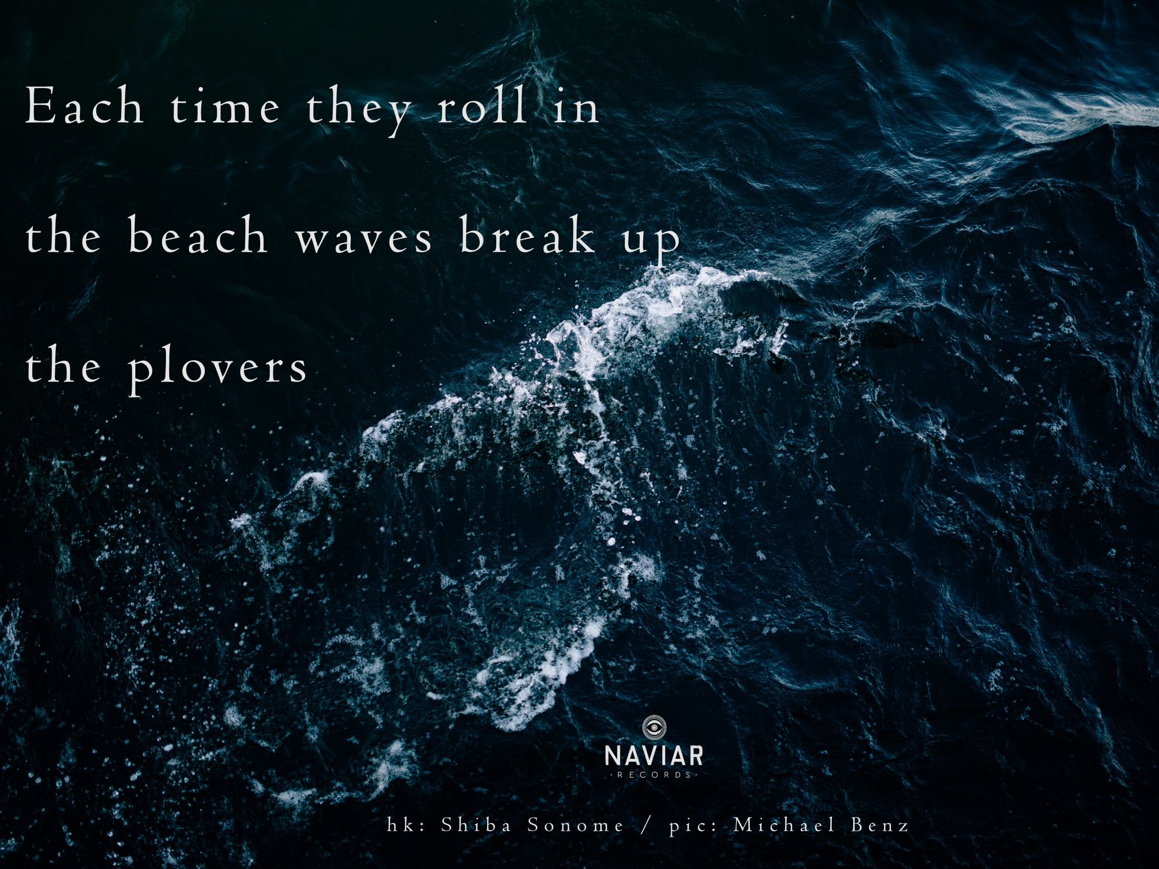 haiku 293 - croped