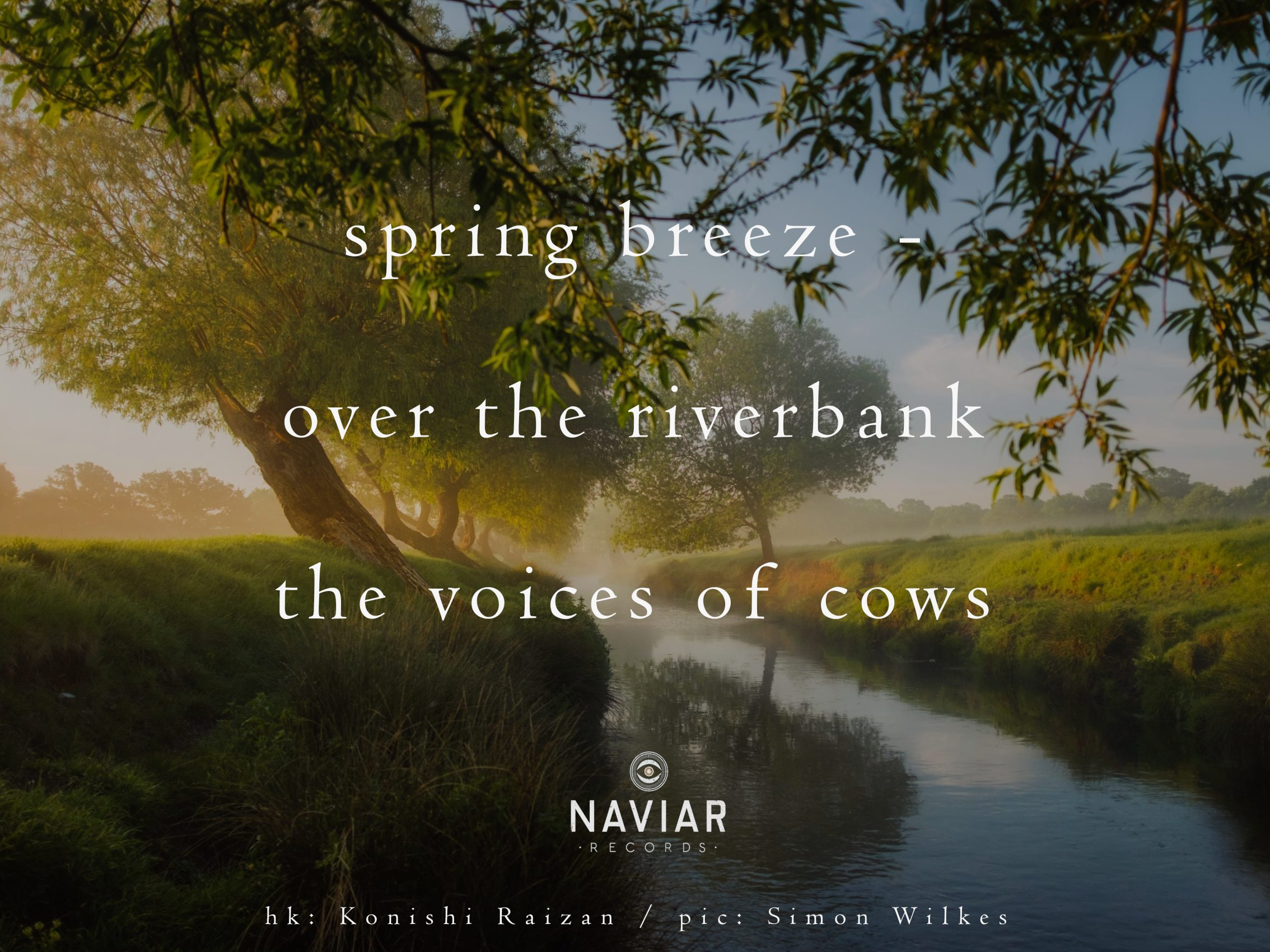 haiku 335 - croped