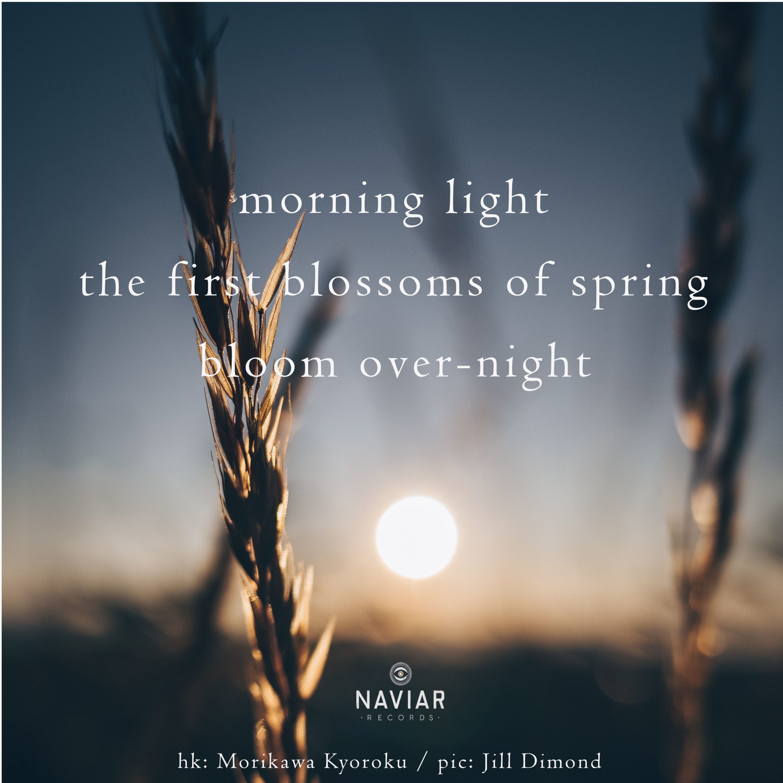 naviarhaiku367-morning-light