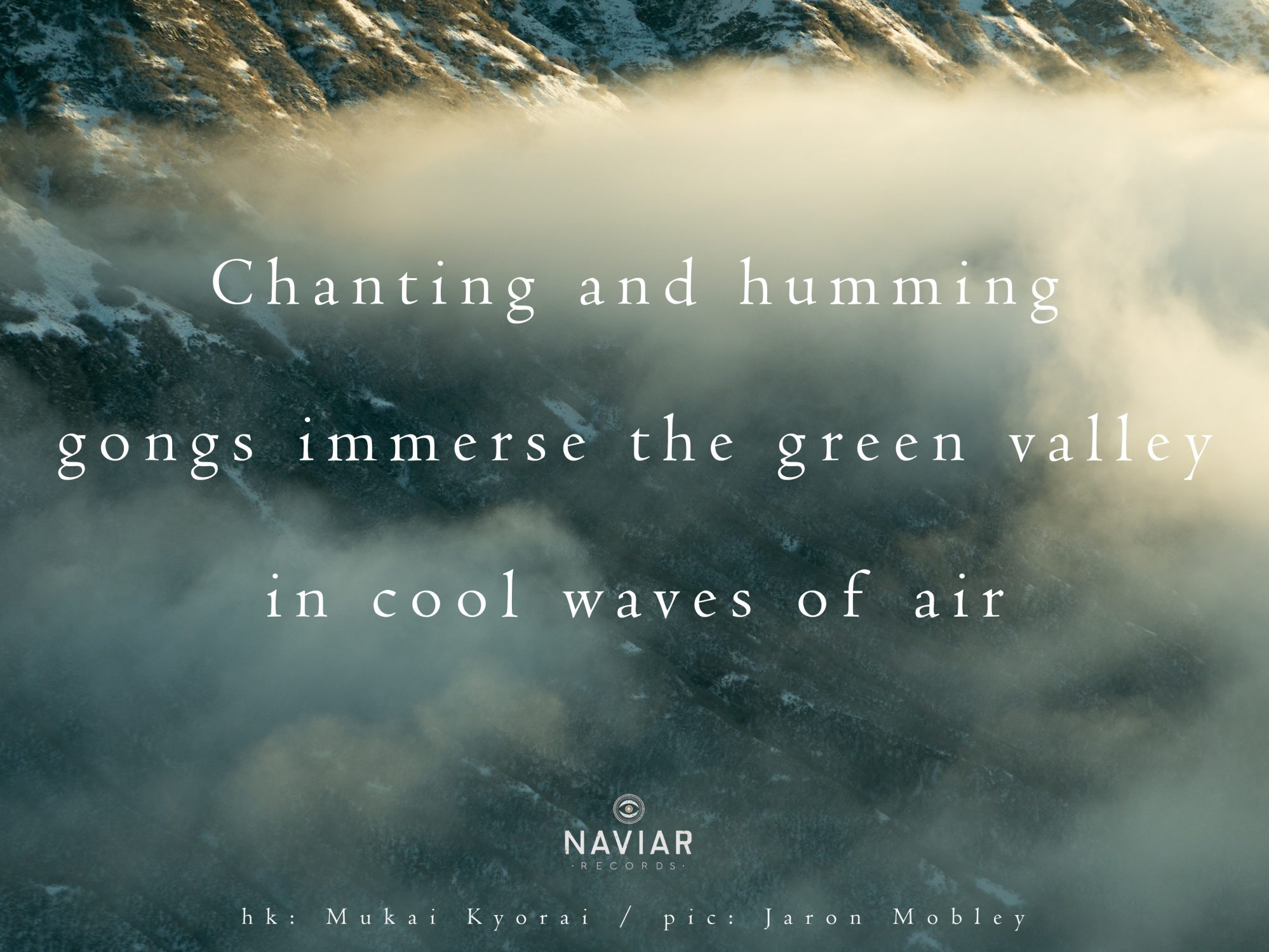 haiku 376 - croped