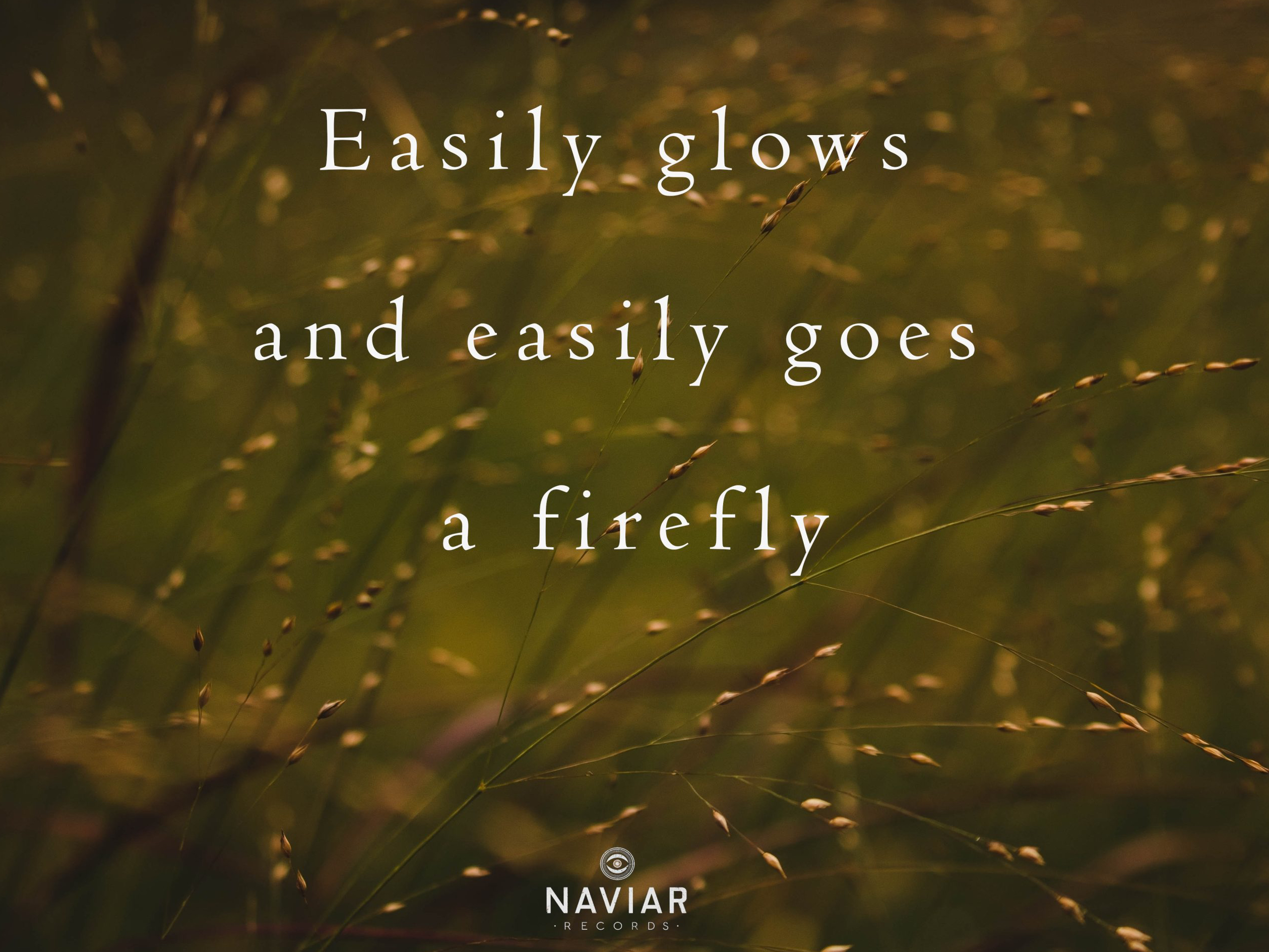 haiku 377 - croped