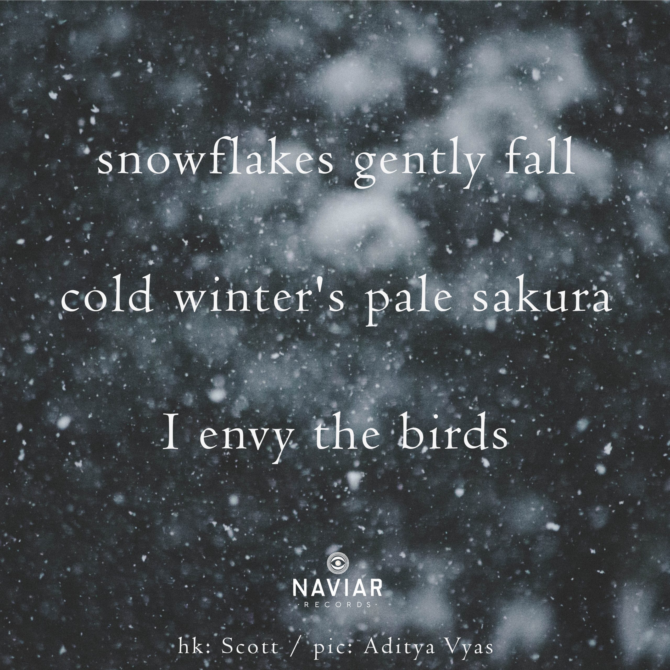 naviarhaiku378-snowflakes-gently