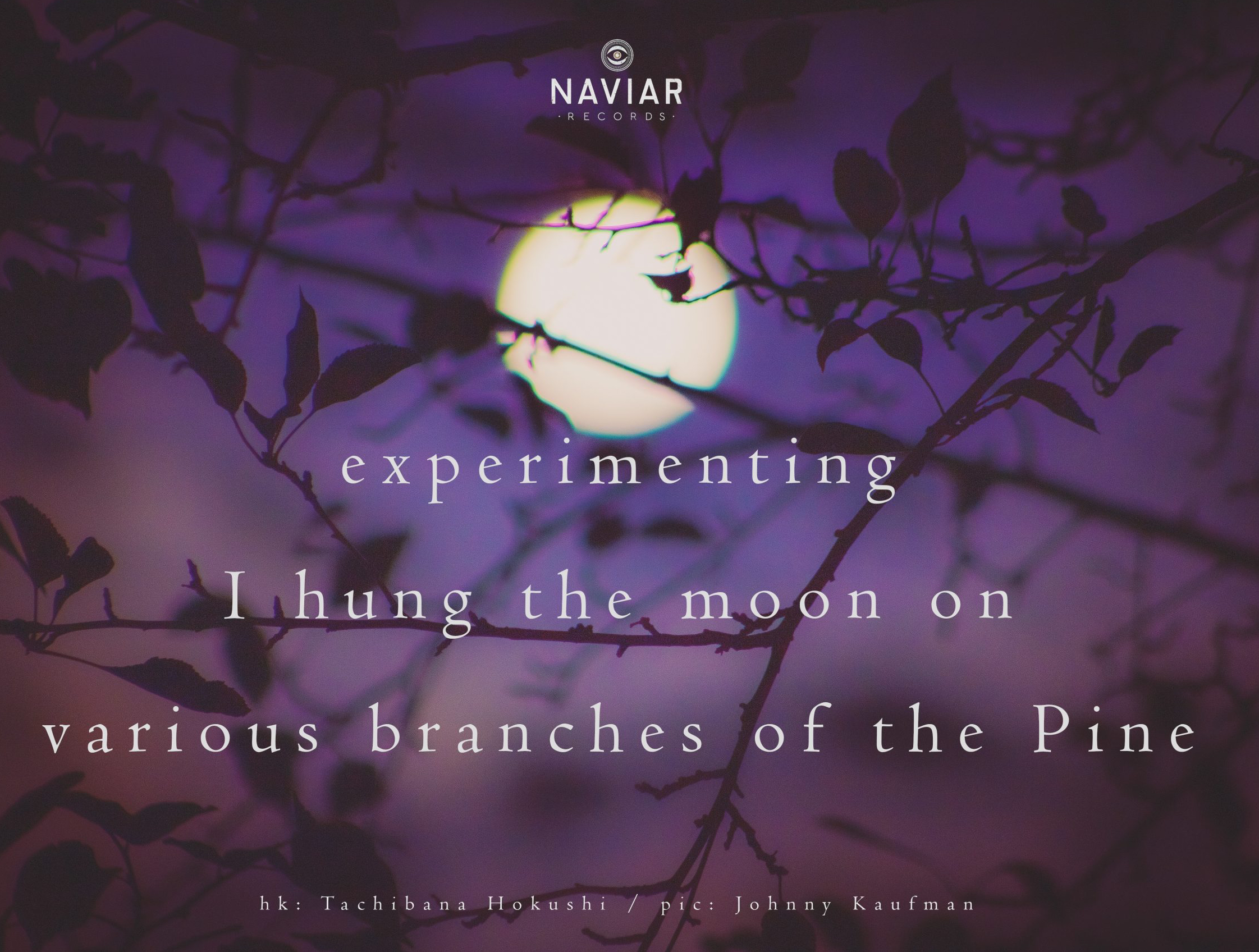 haiku 391 - croped