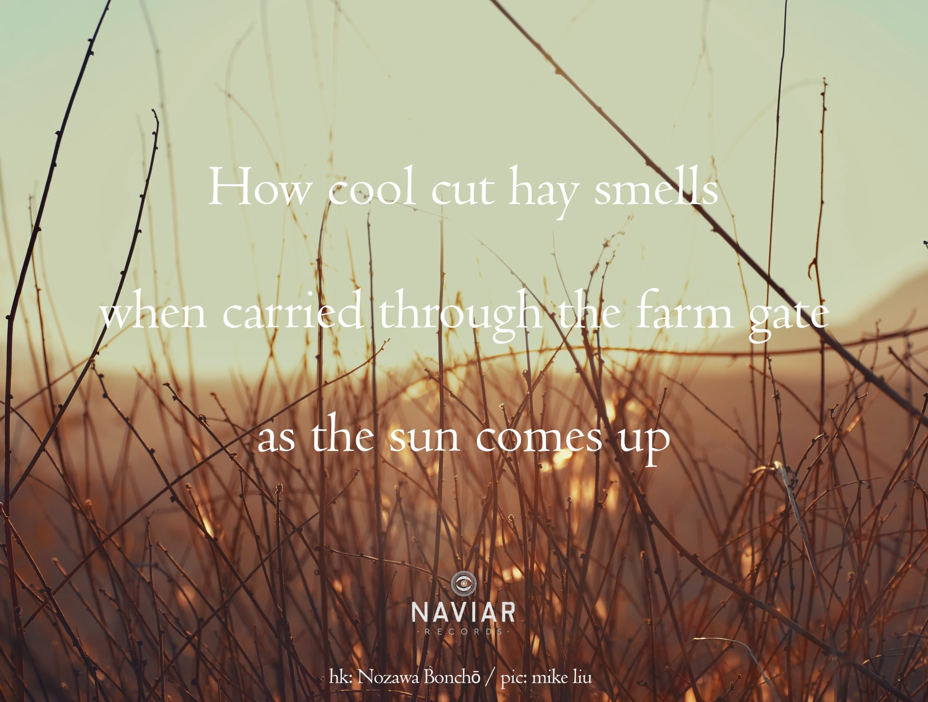 haiku 402 - croped