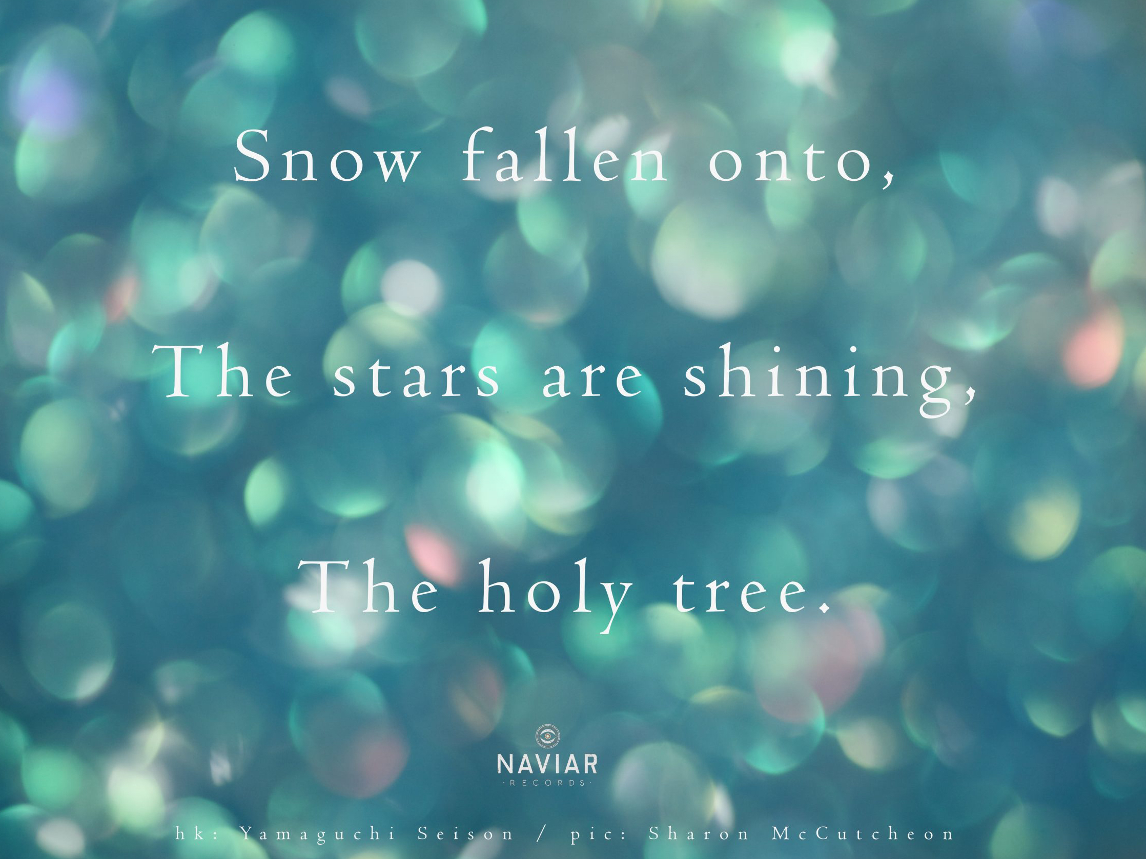 haiku 416 - croped