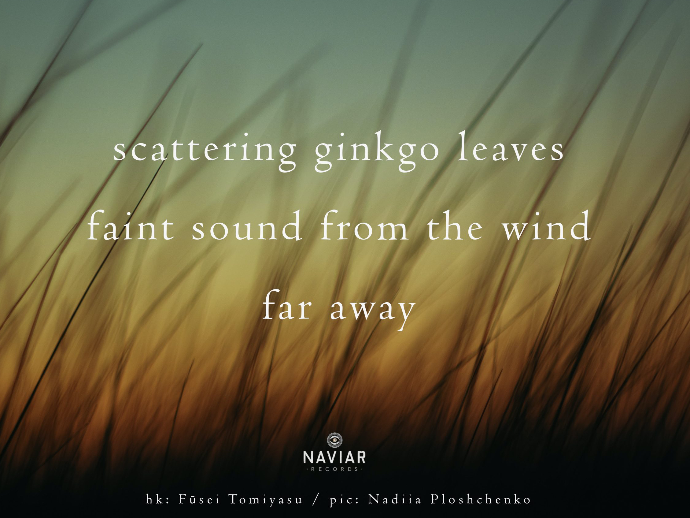 haiku 423 - croped