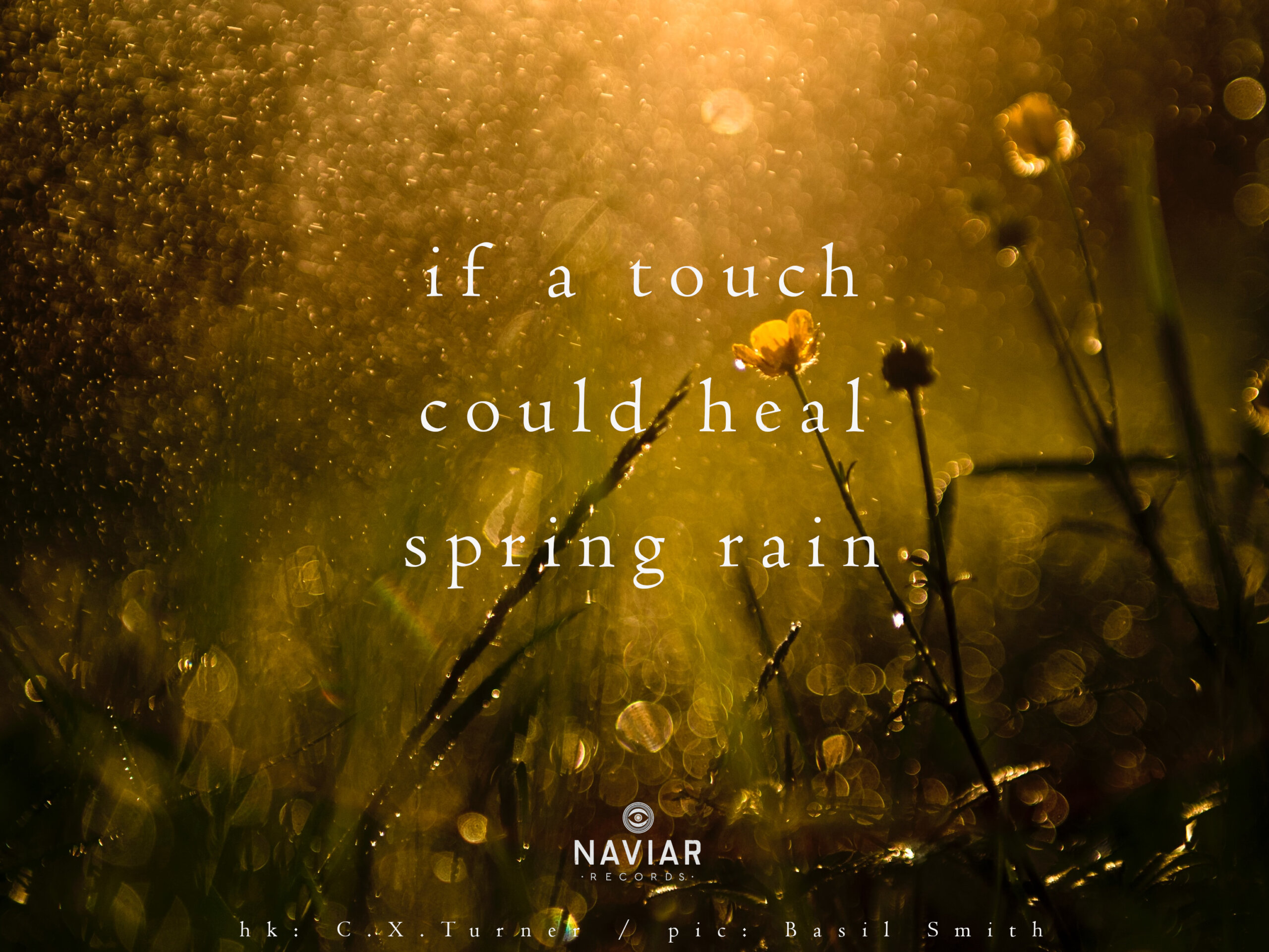 haiku 433 - croped