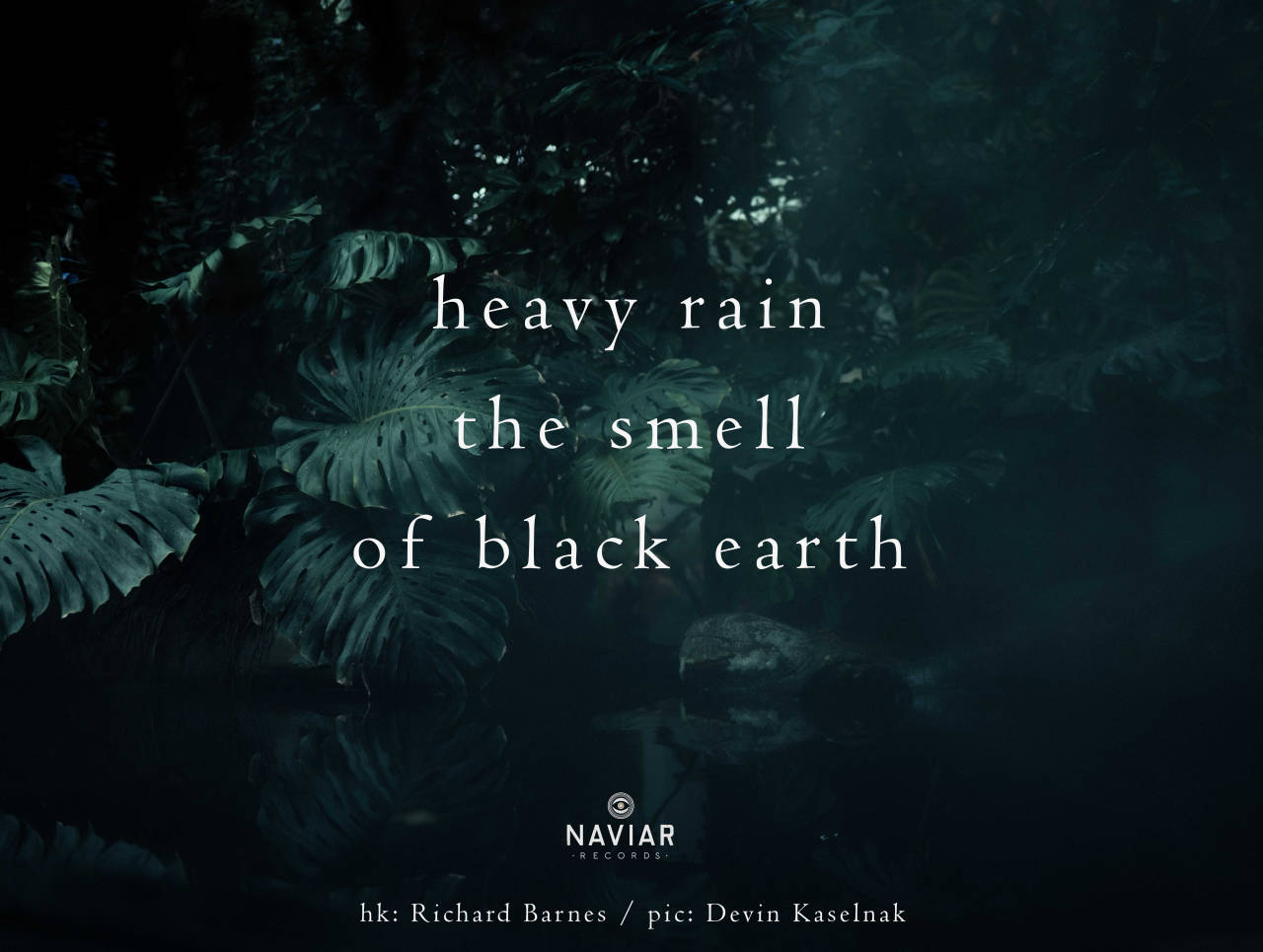 Naviar Haiku 438- Heavy Rain. Picture shows plants.
