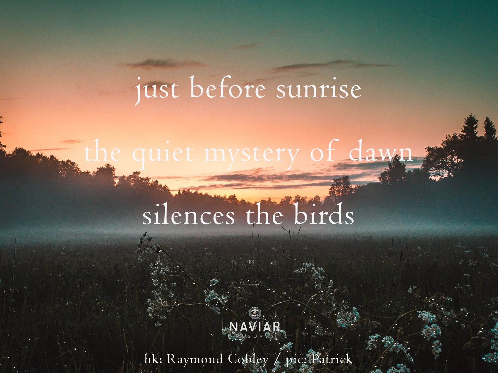 haiku 443 - croped