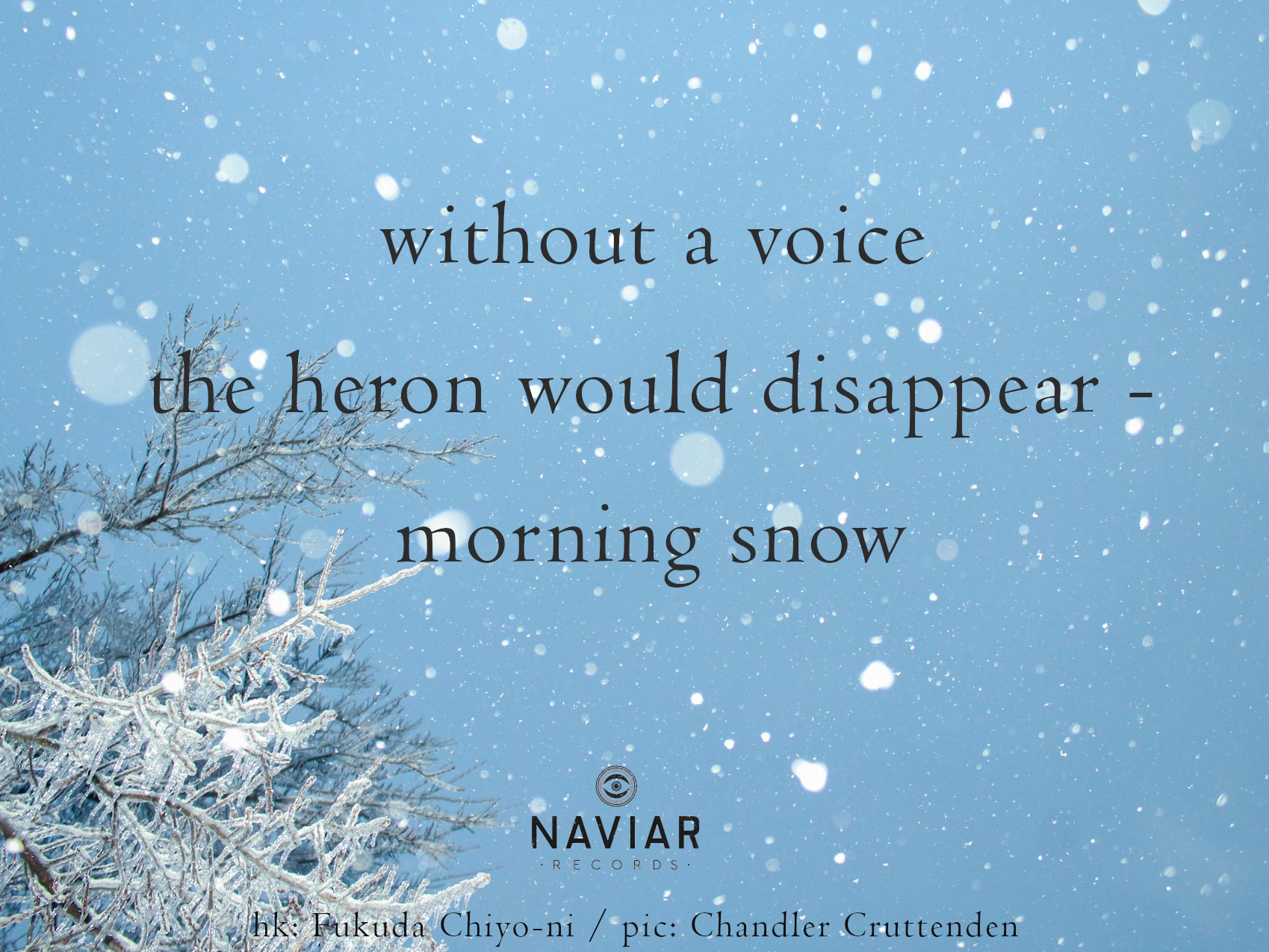 haiku 459 - croped