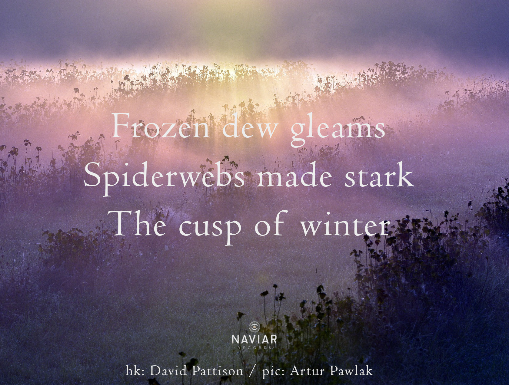 haiku 460 - croped