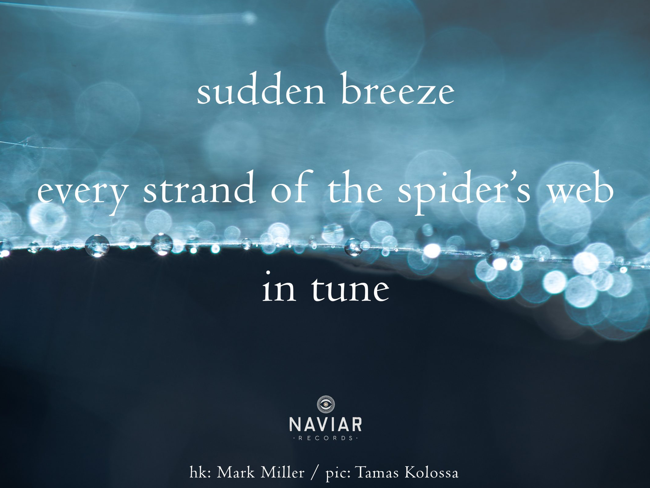 haiku 473 - croped