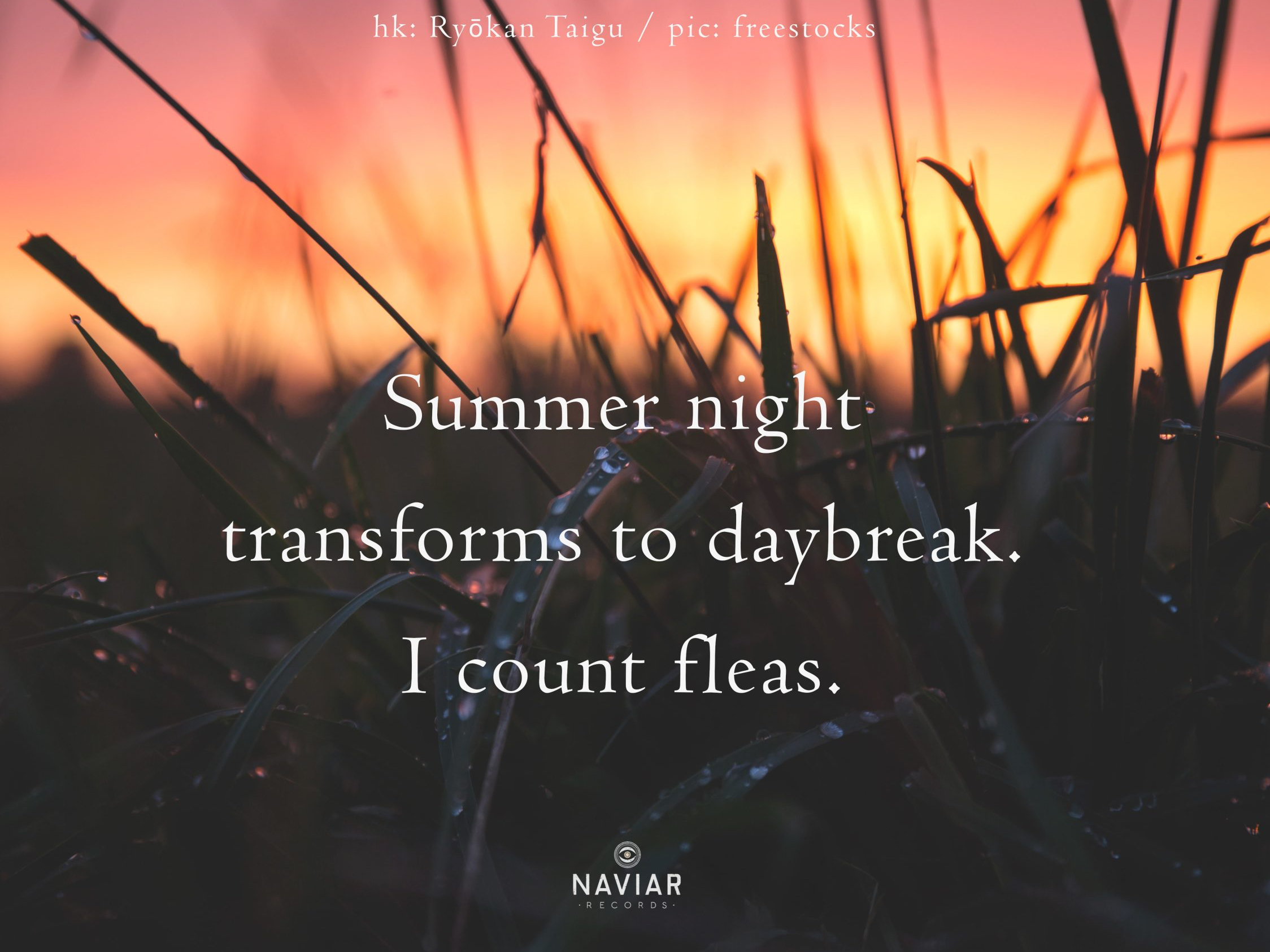 haiku 479 - croped