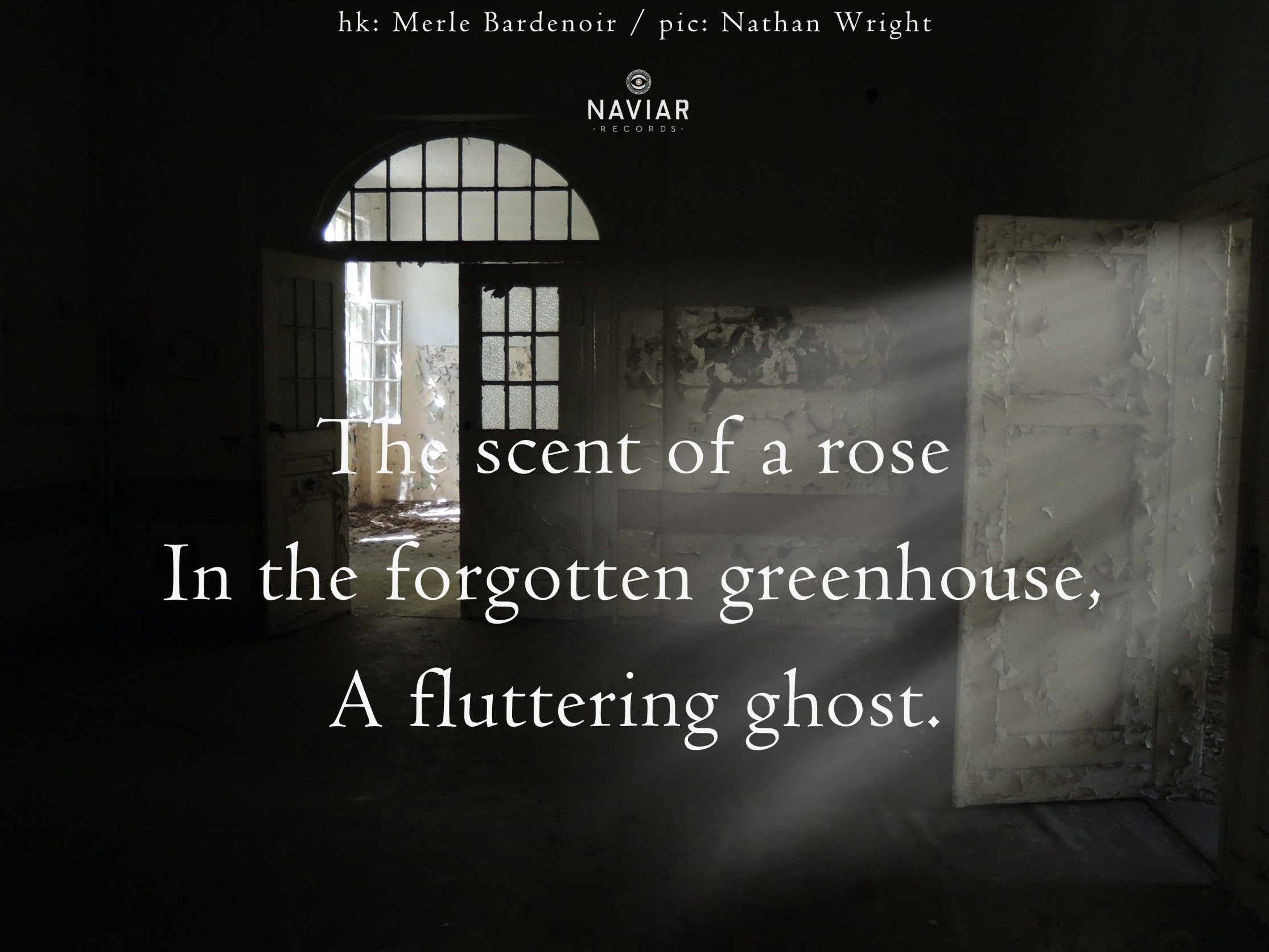 haiku 483 - croped