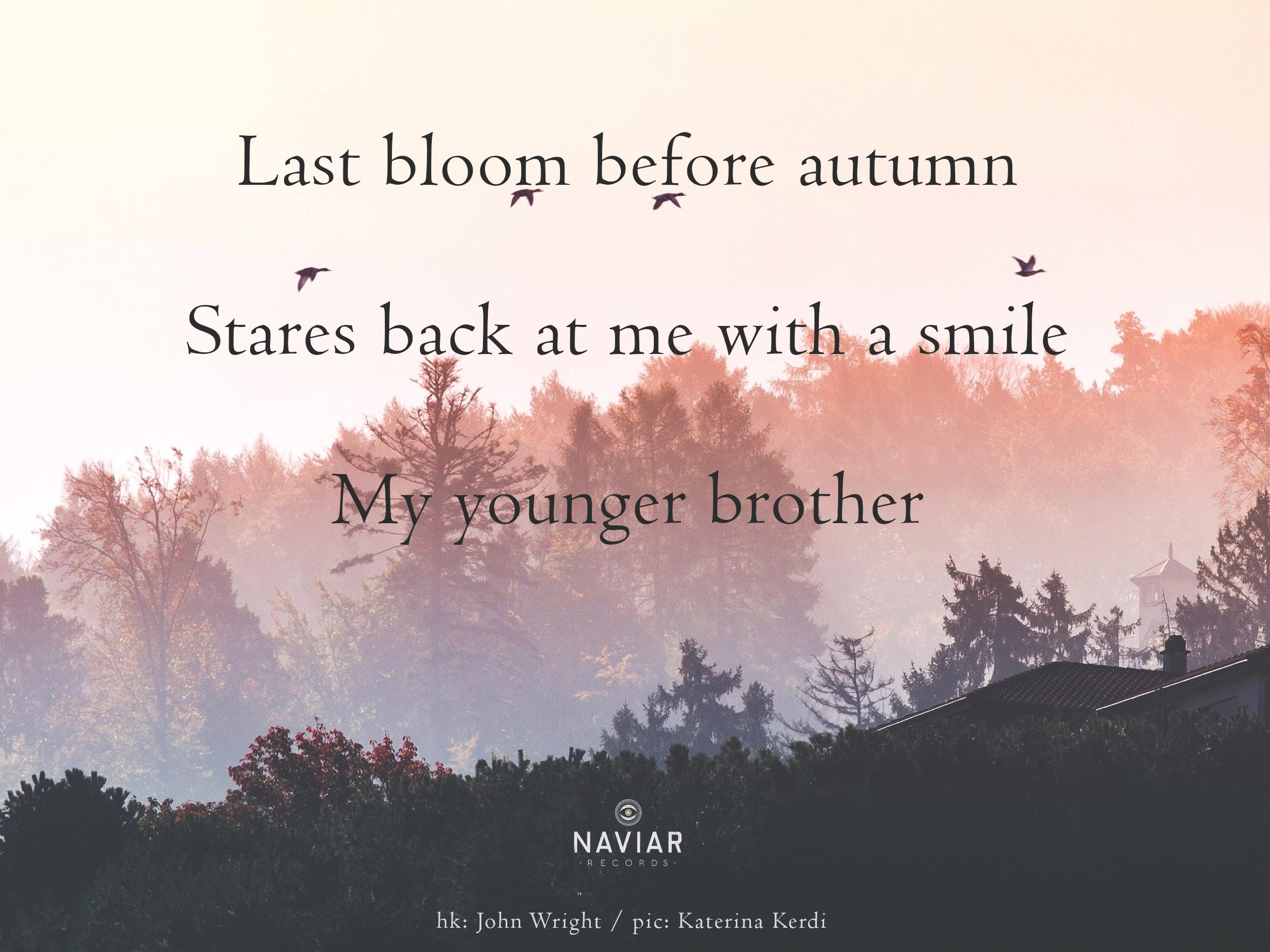 naviarhaiku515-Last-bloom-before-autumn