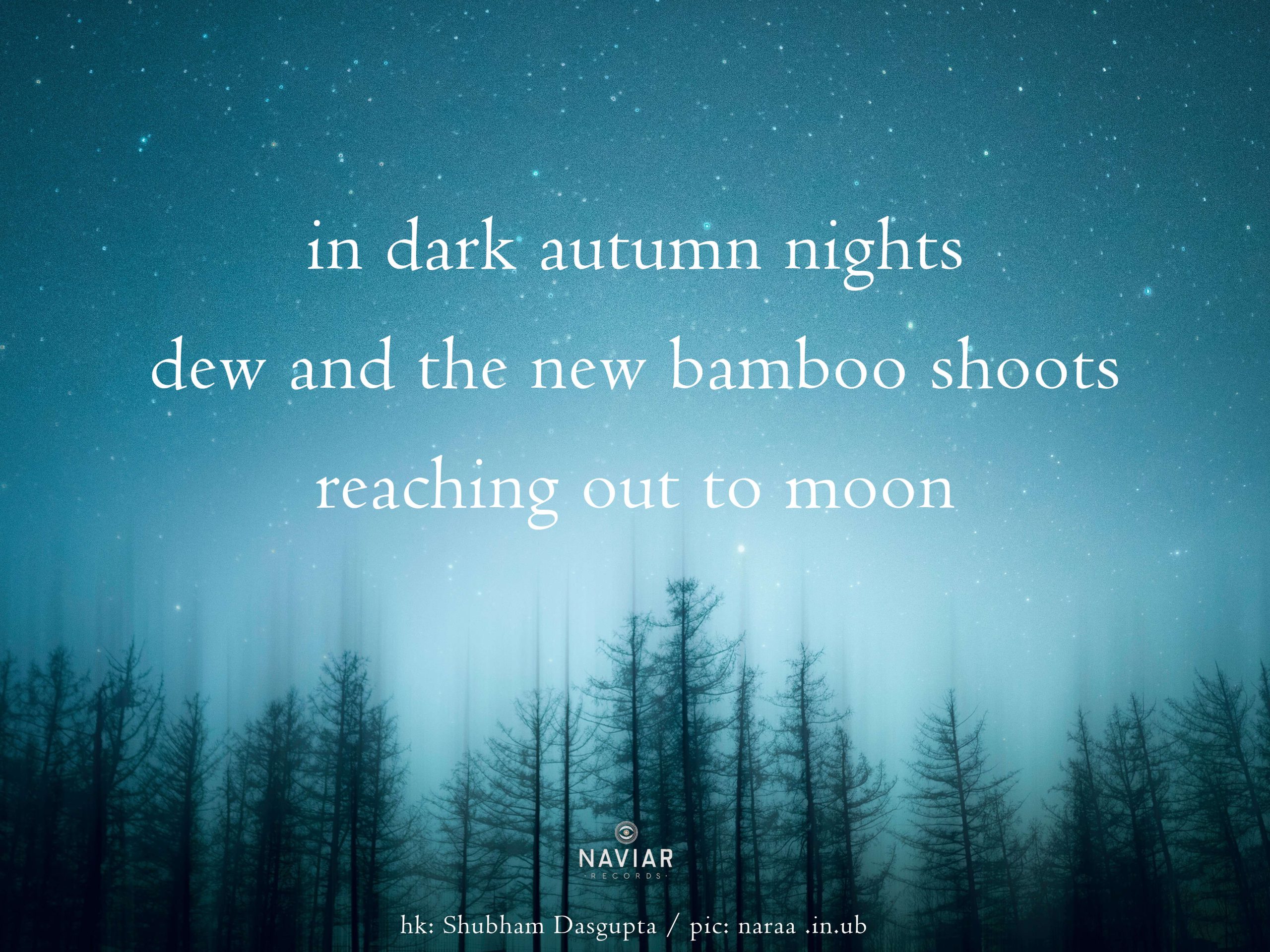 haiku poem with blue night woods background