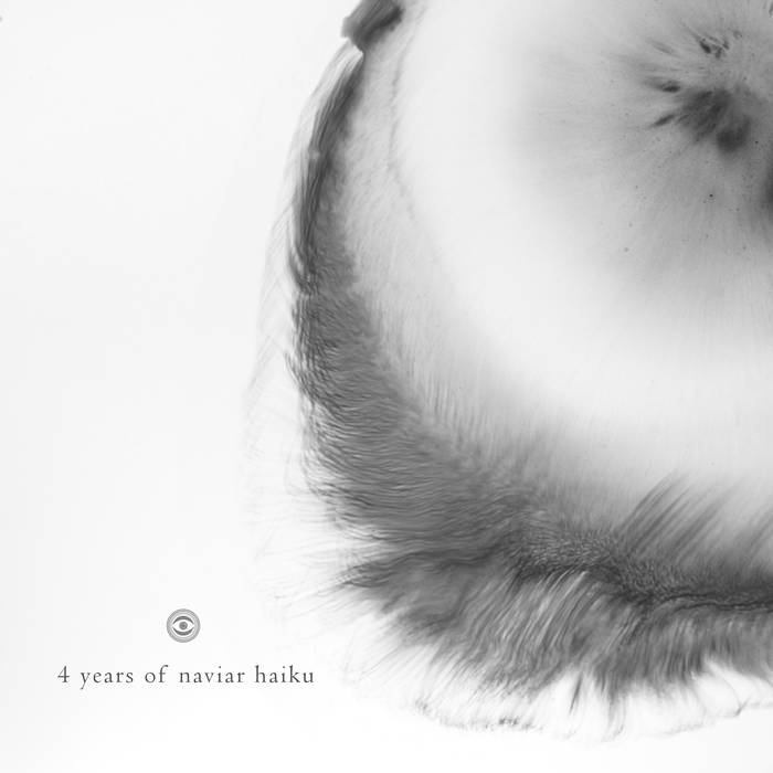 4 years of naviar Haiku album cover. A picture displaying a feathery object.