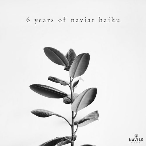 6 years of Naviar Haiku album cover. The image is a diagram related to Naviar Records and their 6 years of haiku. It is likely a black and white diagram and may include elements related to plants.