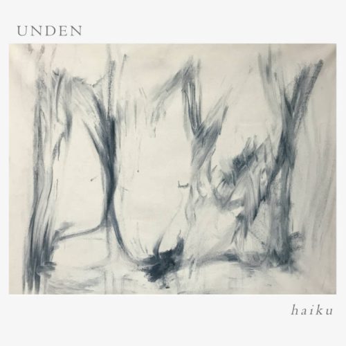 Haiku album cover. The image is an abstract art, black and gray.