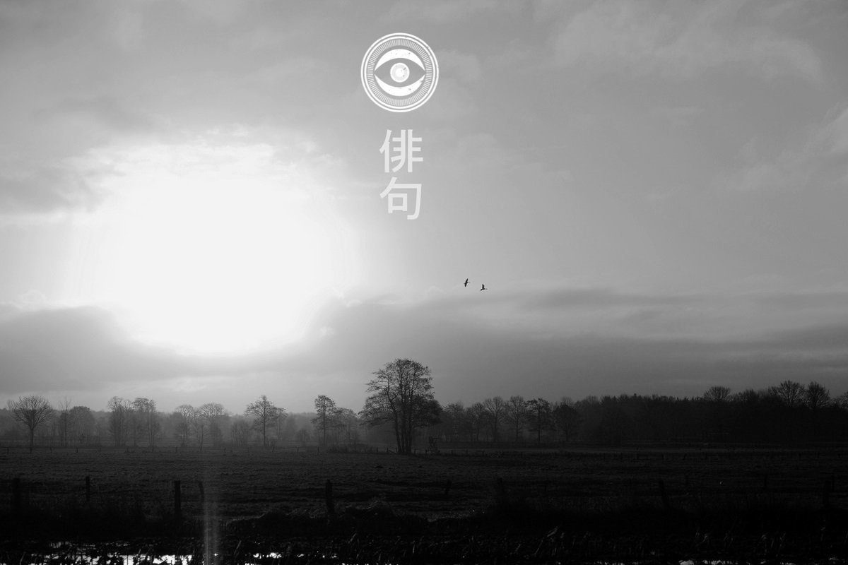 Haiku 1 album cover. he image depicts a field with trees under a cloudy sky.