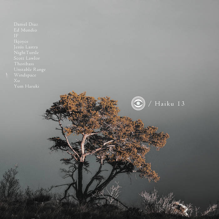 Haiku 13 album cover featuring a tree in the foreground.