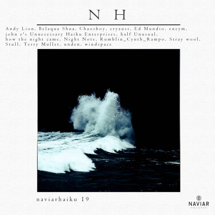 Naviar Haiku 19 album cover. The image contains a powerful waves hits the rock.