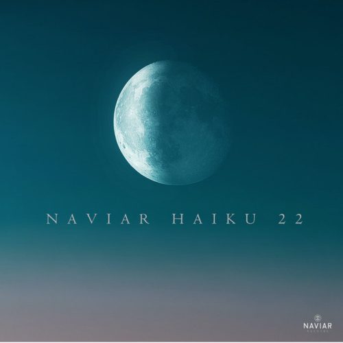 Naviar Haiku 22 Album Cover. The image is a graphical user interface for Naviar Haiku 22, with the tags moon, astronomical object, moonlight, full moon.