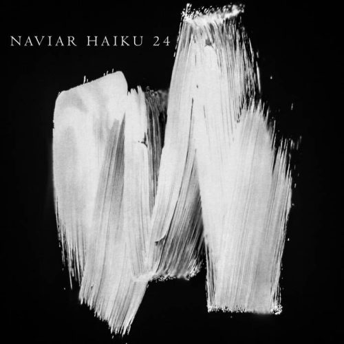 Naviar Haiku 24 Digital Album cover. It is tagged as sketch, monochrome photography, black and white, art, monochrome, and abstract.