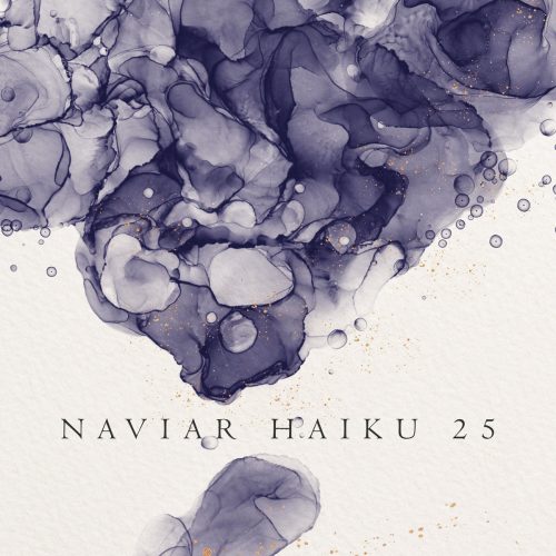 Naviar Haiku 25 Album Cover. Abstract image showcasing unique visual elements and patterns.