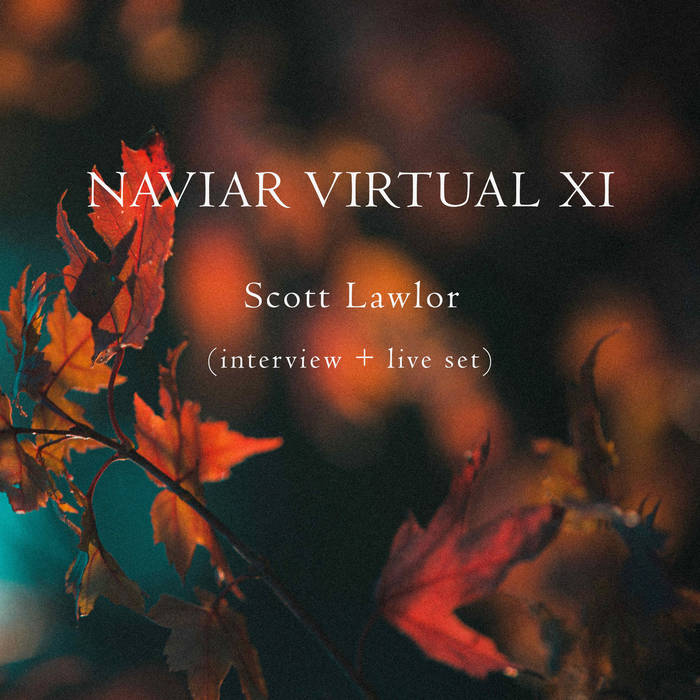 Naviar Virtual XI by Scott Lawlor | Naviar Records Album Cover. The image is a close up of leaves.