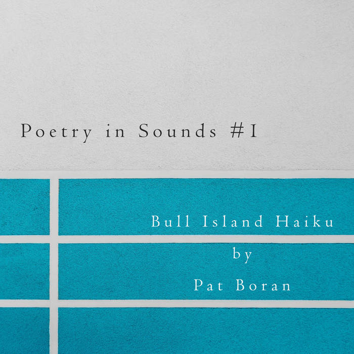 Poetry In Sounds 1 album cover. The image is a background pattern featuring text that reads "Poetry in Sounds # I" and "Bull Island Haiku" by Pat Boran. The text is displayed in a rectangular and parallel design with lines and numbers.