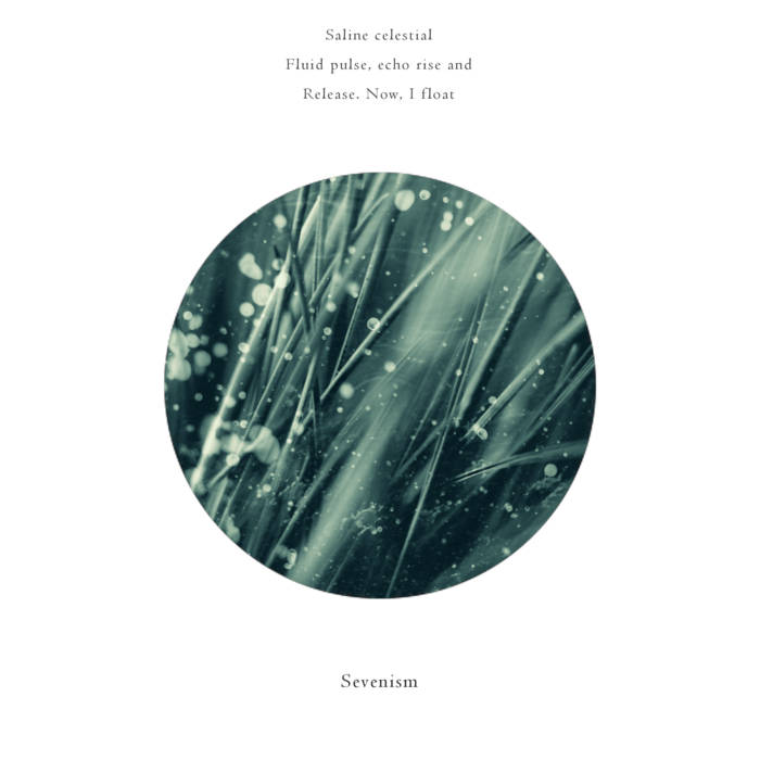 Saline Celestial album cover. The image shows a closed up of a plant.