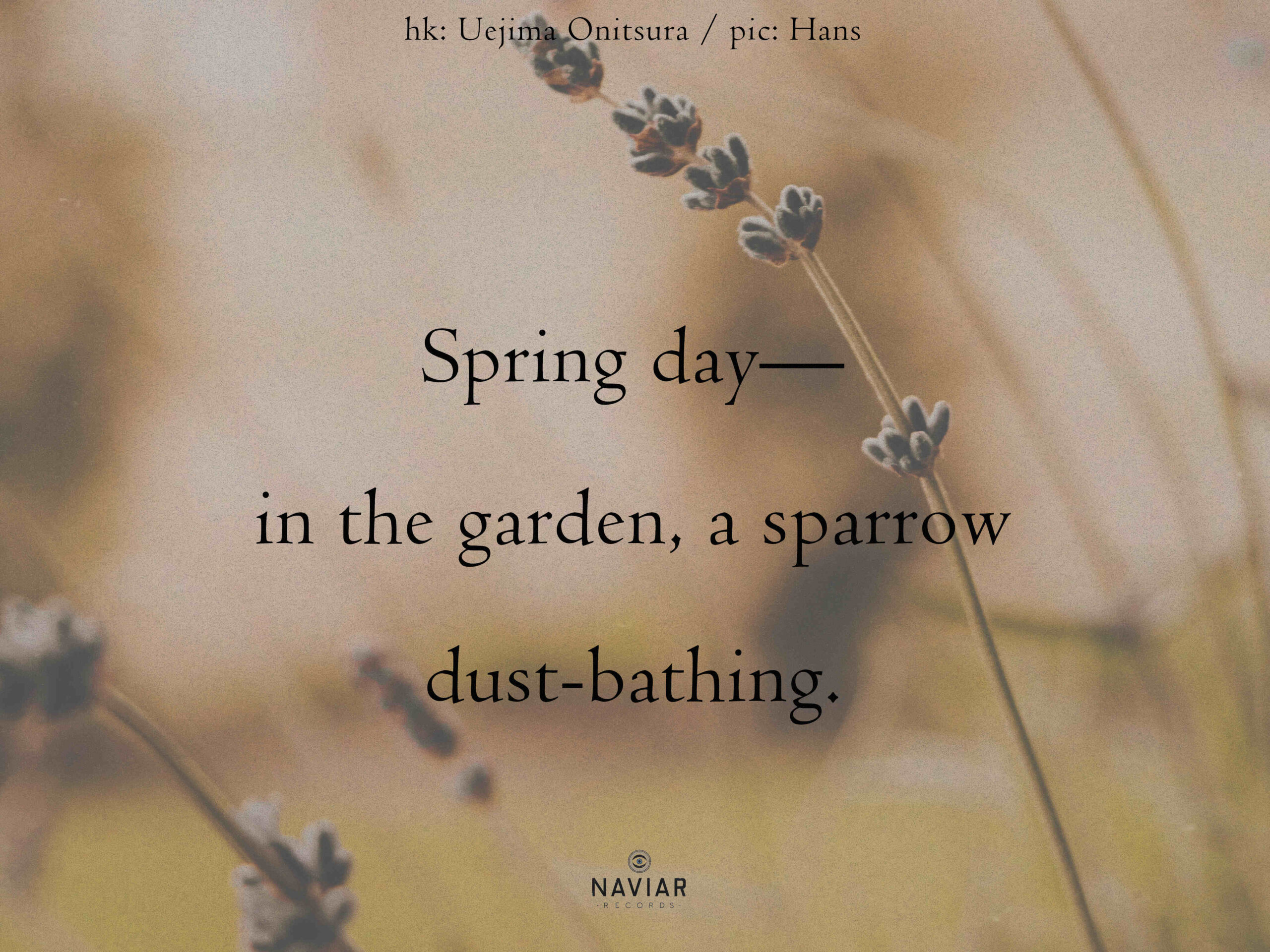 naviarhaiku631 – Spring day – NAVIAR RECORDS