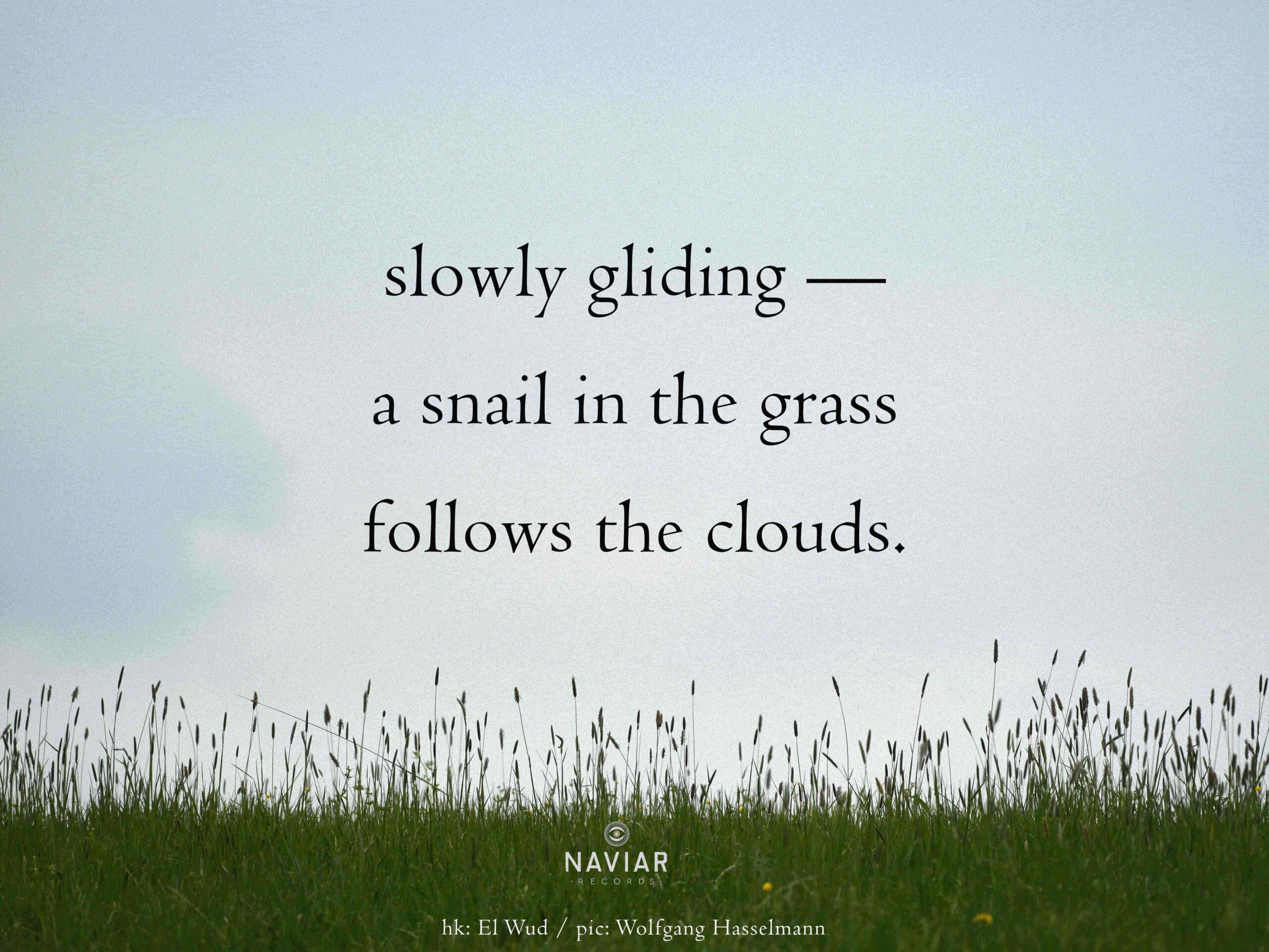 naviarhaiku632 – slowly gliding – NAVIAR RECORDS
